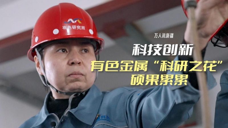 数据湖与数据仓库：构建企业大数据平台的两大支柱